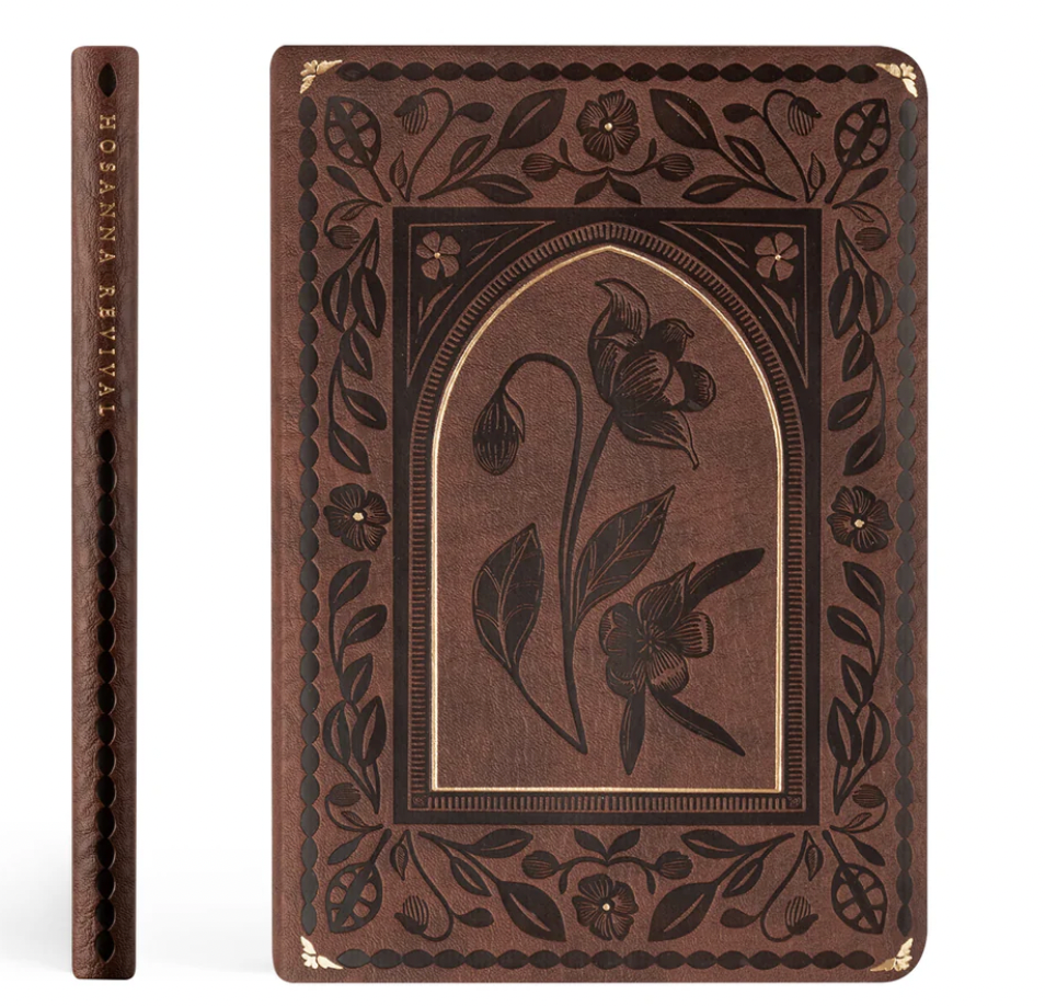 Notebook: Palma Theme